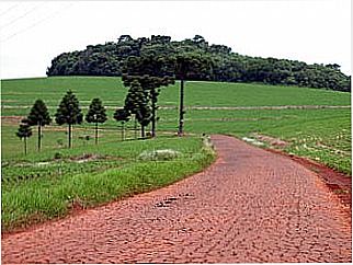 cidade de S�o Gotardo