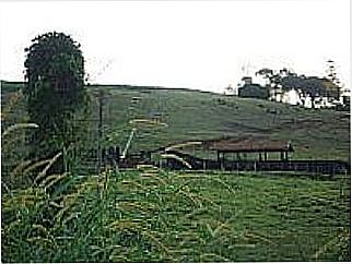 cidade de S�o Jos�