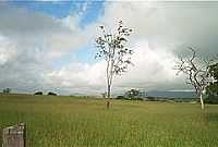 Ipirá - Sertão da Bahia - foto Antônio L. de Souza