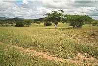 Ipirá - Sertão de Ipirá-BA-Foto:Antonio Lobo de Souz…