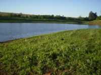Sertaneja - Área para Pratica de Pesca, Por Laner A Siqueira