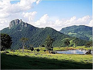 cidade de Terra Nova