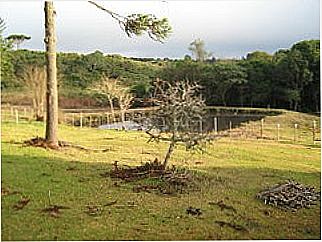 cidade de Timbu Velho