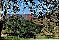 Afonso Arinos por M�rcia Valle