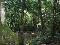 Duque de Caxias - Parque Natural Municipal da Taquara em Duque de Caxias-Foto:Leonardo S. Oliveira