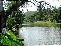 Lago de Javary, Por mércia silva