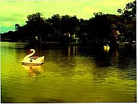 Lago Javary, Por SALLES