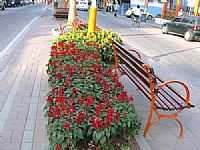 Av.dos Operários em Paracambi-RJ-Foto:ViajanteUSBR