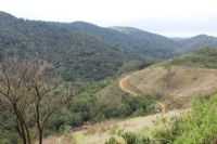 Penedo - Vista do caminho feito pelo passeio de quadriciclo de Penedo, Por GLAISO PEREIRA