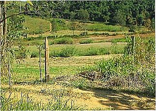 cidade de Ribeir�o de S�o Joaquim