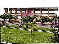 Entrada do Estádio de Antônio Martins-Foto:Dedé de Zé Luca