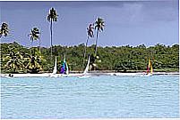 PRAIA DE BARRA DO CUNHA�
