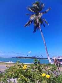 Canguaretama - BARRA DO CUNHAÚ, Por zilson josé soares de maria