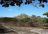 Carneira