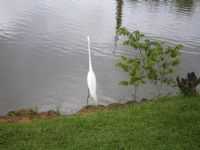 Florânia - fotos de um lago, Por juvenal da silva barbosa