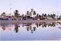 Galinhos foto