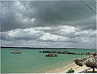 Galinhos foto