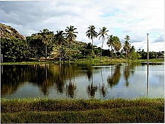 cidade de Monte Alegre