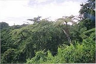 cidade de Santa F�
