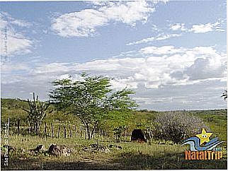 cidade de S�o Paulo do Potengi