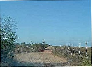 cidade de Severiano Melo