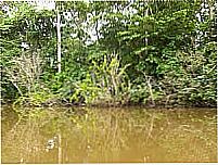 Lago do Curumim-Foto:ligacalama 