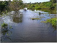 Imagem-Foto:ligacalama 