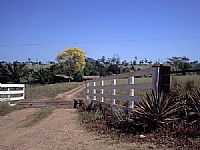 Cerejeiras - Paisagem