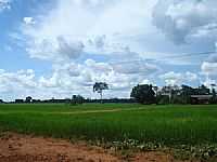 Cerejeiras - Cerejeiras-Foto:valdecirbairros