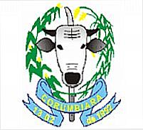 Brasão da cidade