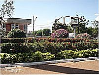 Jardim-Foto:gerlyRM
