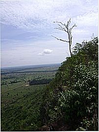 Serra dos Parecis - Parque de Guajar�-Mirim por marco teixeira