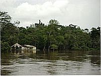 Rio Jaci Paran�