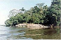 Pimenteiras do Oeste