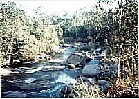 Pimenteiras do Oeste