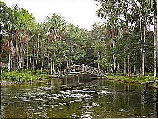cidade de Vilhena
