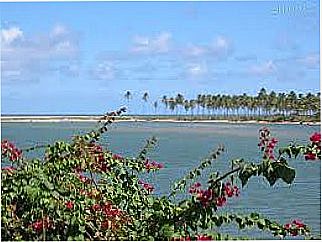 cidade de Jacu�pe