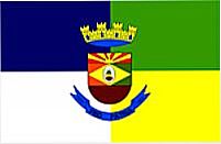 Bandeira da cidade 