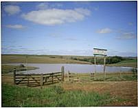 Paisagem em André da Rocha, Por Lucimara Jacques Vieira