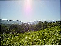 Arroio do Meio- abmombach