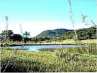 Lago-Foto:Gerson Gerloff