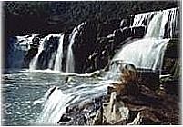 	
Perau de Janeiro