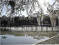 Parque das Arauc�rias
