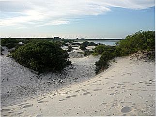 cidade de Bacupari