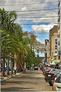 AV.SETE, Por VIVIANNI ABEJANEDA