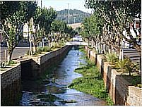 Barão de Cotegipe por Auri Brandão