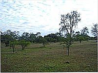 Parque Estadual do Espinilho-wetb