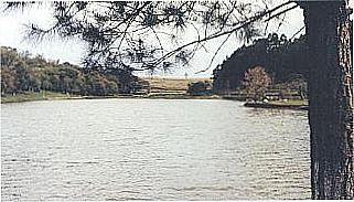 cidade de Carazinho