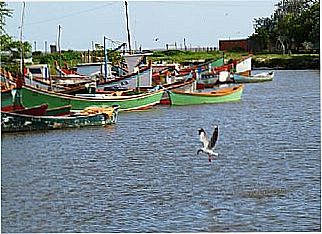 cidade de Col�nia Z-3