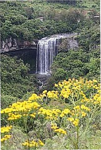 cidade de Farroupilha